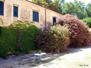 Flowering garden with traditional stone façade