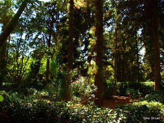 Üppiger Villetta-Garten mit Bäumen und natürlichem Scha