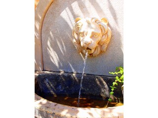Steinbrunnen mit Löwenkopf