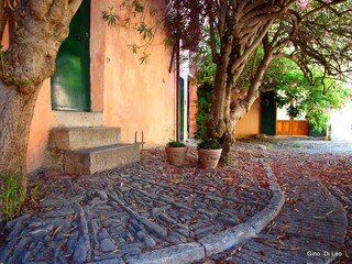 Shaded entrance under oleander trees