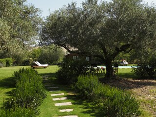 Garden path leading to the pool