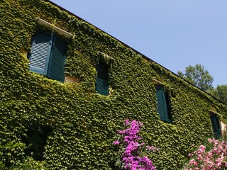 Ivy-covered masseria façade