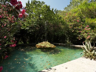 Historic water garden