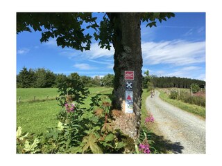 Holiday apartment Winterberg Environment 28