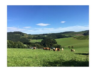 Ferienwohnung Winterberg Umgebung 24