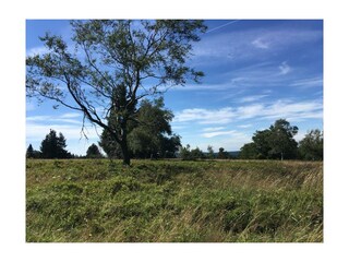 Ferienwohnung Winterberg Umgebung 25