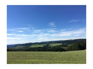 Ferienwohnung Winterberg Umgebung 26