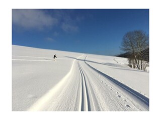 Ferienwohnung Winterberg Umgebung 31