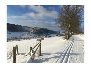 Holiday apartment Winterberg Environment 30