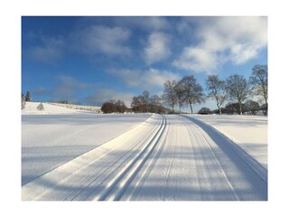 Holiday apartment Winterberg Environment 31