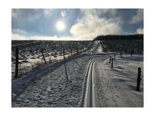 Ferienwohnung Winterberg Umgebung 34