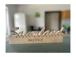 Ferienwohnung Winterberg Ausstattung 11