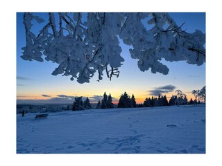 Holiday apartment Winterberg Environment 34