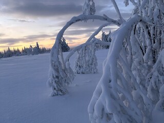 Ferienwohnung Winterberg Umgebung 35