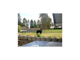 Ferienhaus Gönnersdorf Umgebung 29