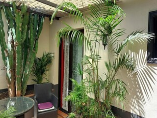 Maison de vacances Icod de los Vinos Équipement 12