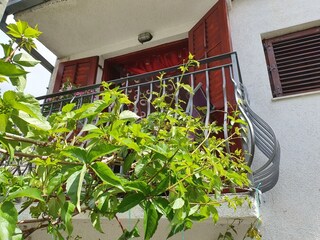 Appartamento Nemira  31