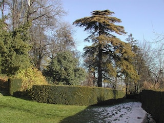 Castillo Robella Grabación al aire libre 8