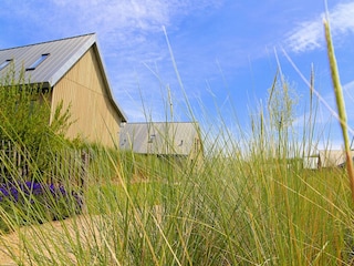 Holiday park Tholen (Stadt) Environment 24