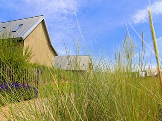 Holiday park Tholen (Stadt) Outdoor Recording 5