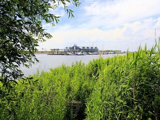 Holiday park Tholen (Stadt) Environment 31