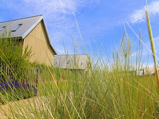 Parc de vacances Tholen (Stadt) Environnement 20
