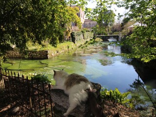Blick auf das Wasser bei der Mühle, mit Annabelle