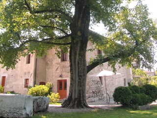 Outside the mill in the garden