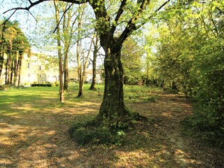 Reismühle am Ende des Parks