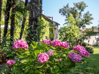 Reismühle am Ende des Parks