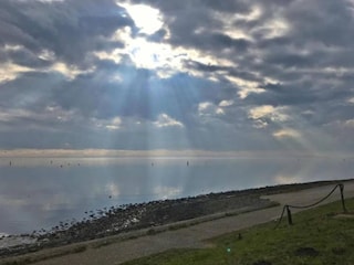 Ferienpark Tholen (Stadt) Umgebung 14