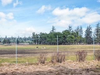 Holiday house Thorup Strand  28