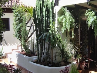 Apartment Icod de los Vinos Außenaufnahme 5