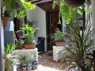 Appartement Icod de los Vinos Enregistrement extérieur 8