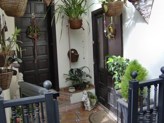Appartamento Icod de los Vinos Registrazione all'aperto 6