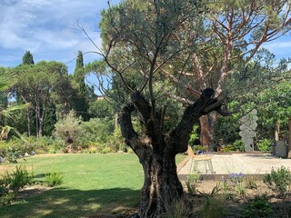 Villa La Croix-Valmer Ausstattung 15