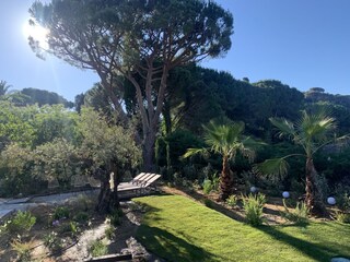 Romantischer ruhiger Garten