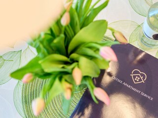 Ferienwohnung Travemünde Außenaufnahme 3