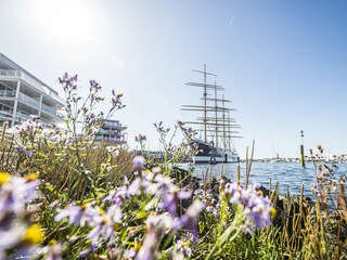 Ferienwohnung Travemünde Außenaufnahme 19