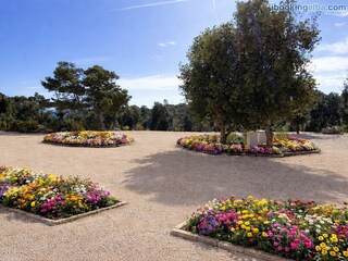 Apartment Rio Marina Umgebung 17