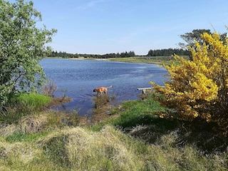 Ferienhaus Vejers Strand  14