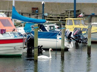 Maison de vacances Tranekær  13