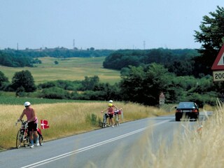Maison de vacances Tranekær  37