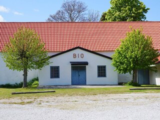 Ferienhaus Welt  27