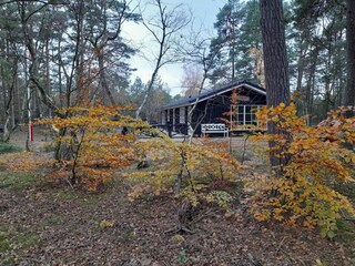 Ferienhaus Als Außenaufnahme 1