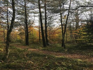 Ferienhaus Als Außenaufnahme 8