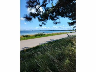 Ferienhaus Højby Außenaufnahme 11