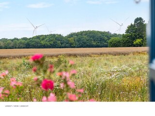 Ferienhaus Nakskov Außenaufnahme 4