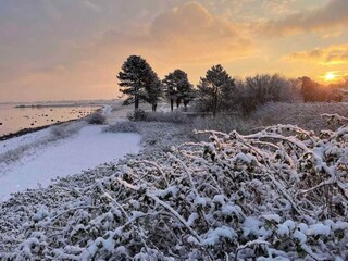 Ferienhaus Havnsø Außenaufnahme 13