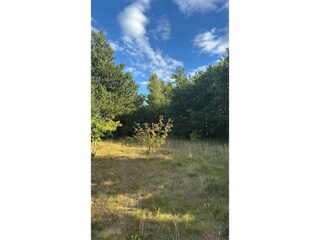 Ferienhaus Mou Außenaufnahme 7